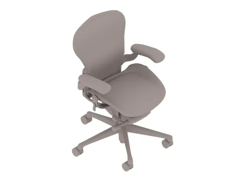 Aeron Chair–A Size–Fixed Arms